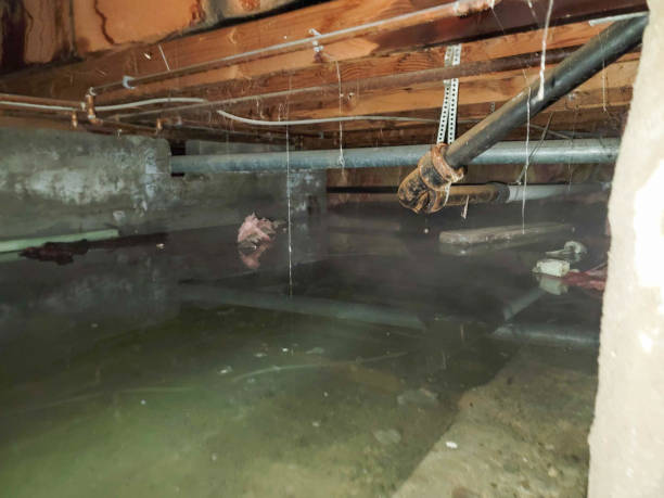 Best Ceiling water damage repair  in Millbrae, CA