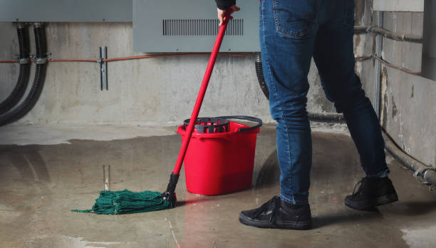 Best Carpet water damage restoration  in Millbrae, CA