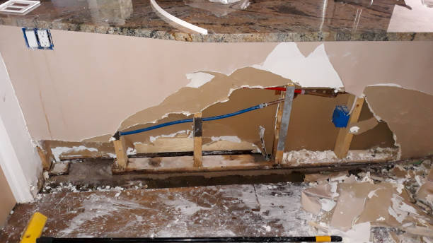 Best Water damage restoration near me  in Millbrae, CA