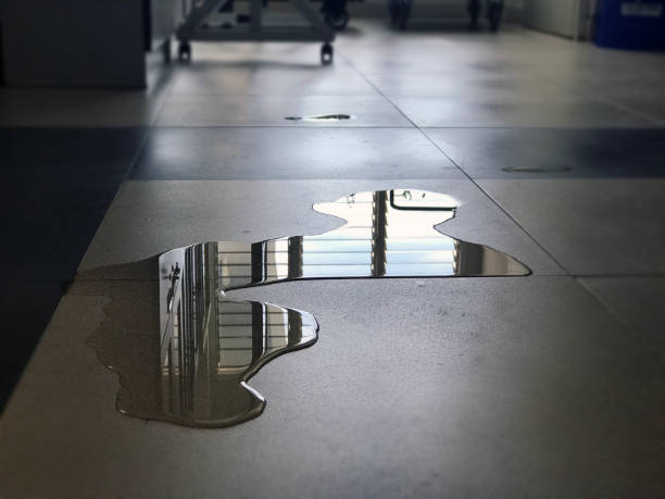 Sewage cleanup and water damage restoration in Millbrae, CA