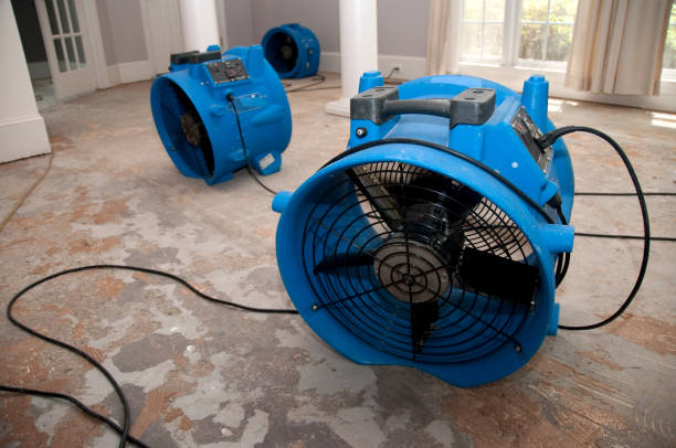 Trusted Millbrae, CA Water damage restoration Experts