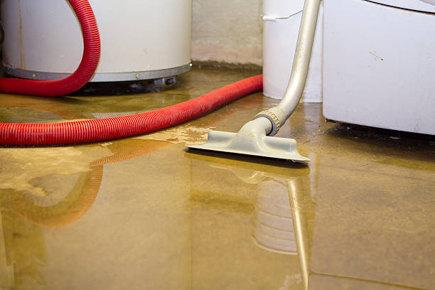 Best Water damage cleanup near me  in Millbrae, CA