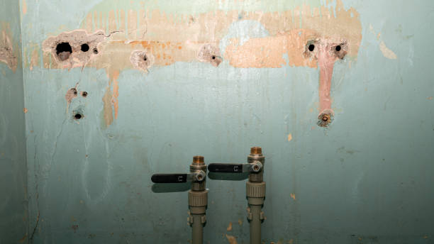 Best Water damage cleanup near me  in Millbrae, CA