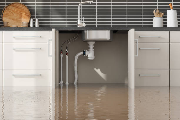 Best Water damage restoration near me  in Millbrae, CA