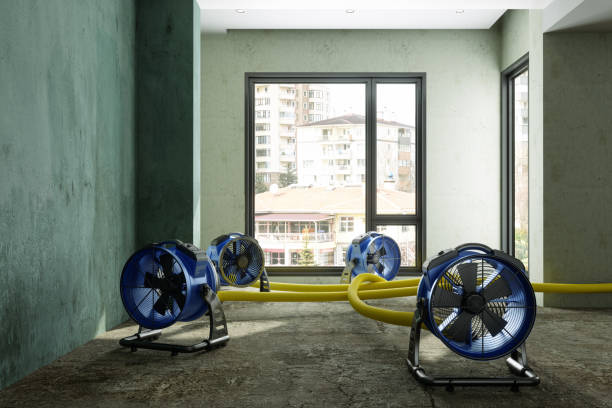 Water damage restoration experts in Millbrae, CA